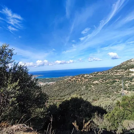 Corse Balagne Au Dessus De Corbara - Logement Maison De Charme 80m2 -terrasse Vue Inoubliable 40m2 - 4 Personnes - Coup De Coeur Assure Cateri