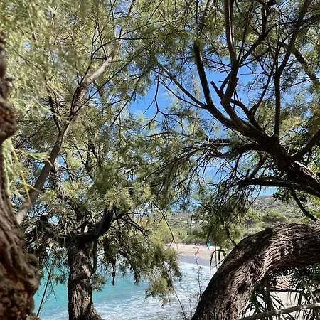 Apartment Corse Balagne Au Dessus De Corbara - Logement Maison De Charme 80m2 -terrasse Vue Inoubliable 40m2 - 4 Personnes - Coup De Coeur Assure Cateri